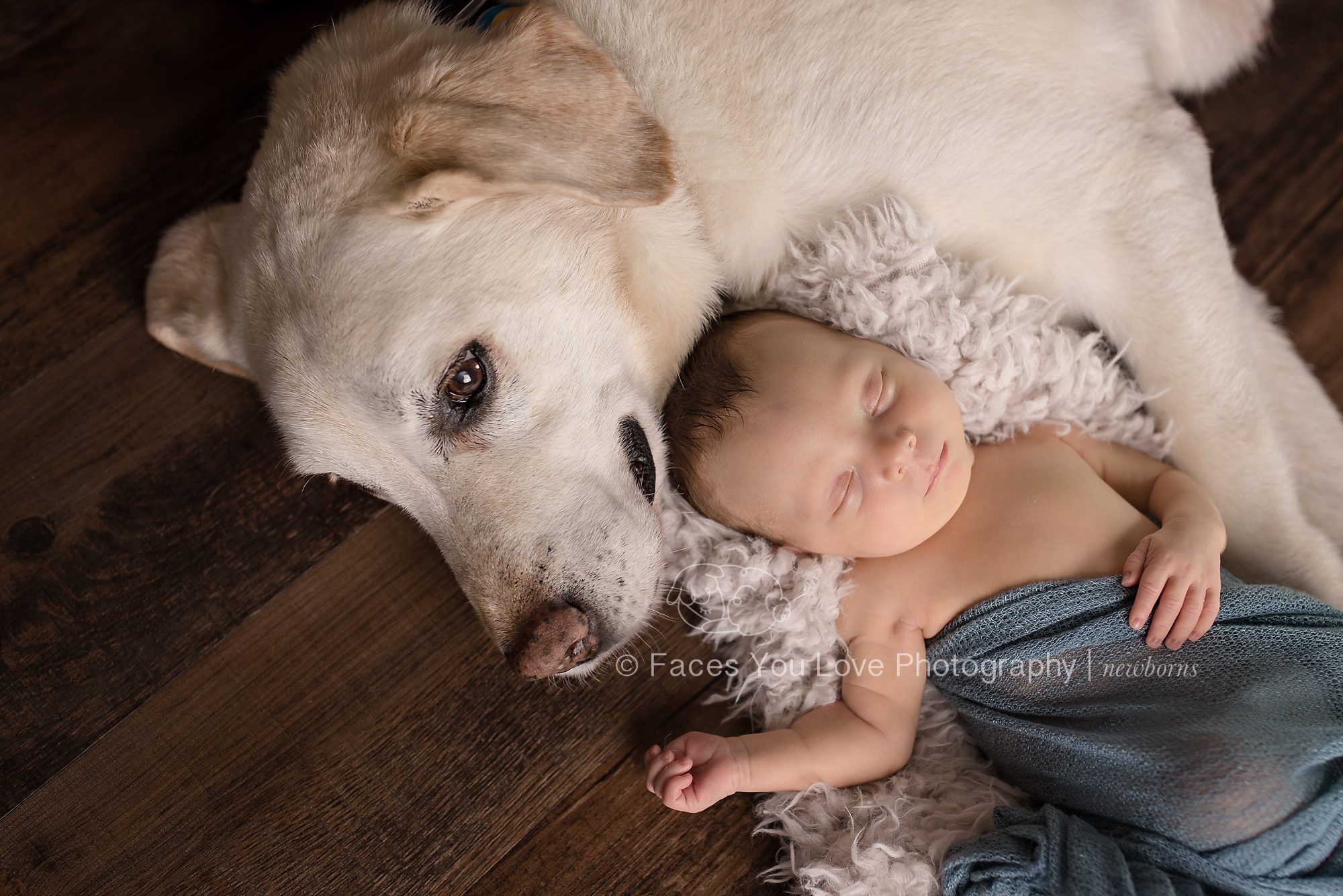 A Boy and His Dog – A Newborn Session » Faces You Love Photography